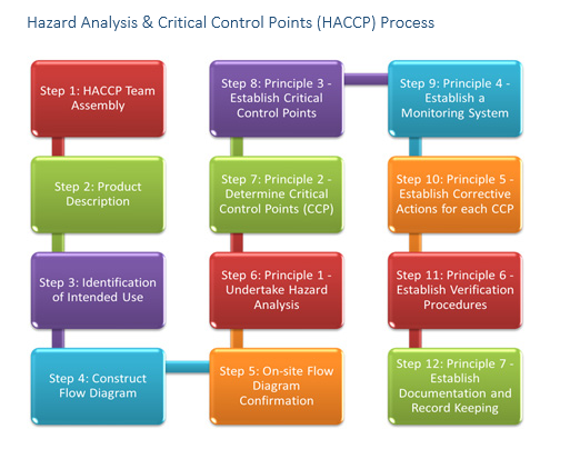HACCP Process