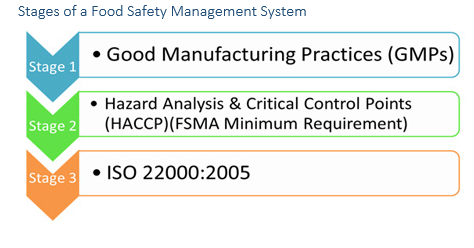 Stages of a Food Safety Management System