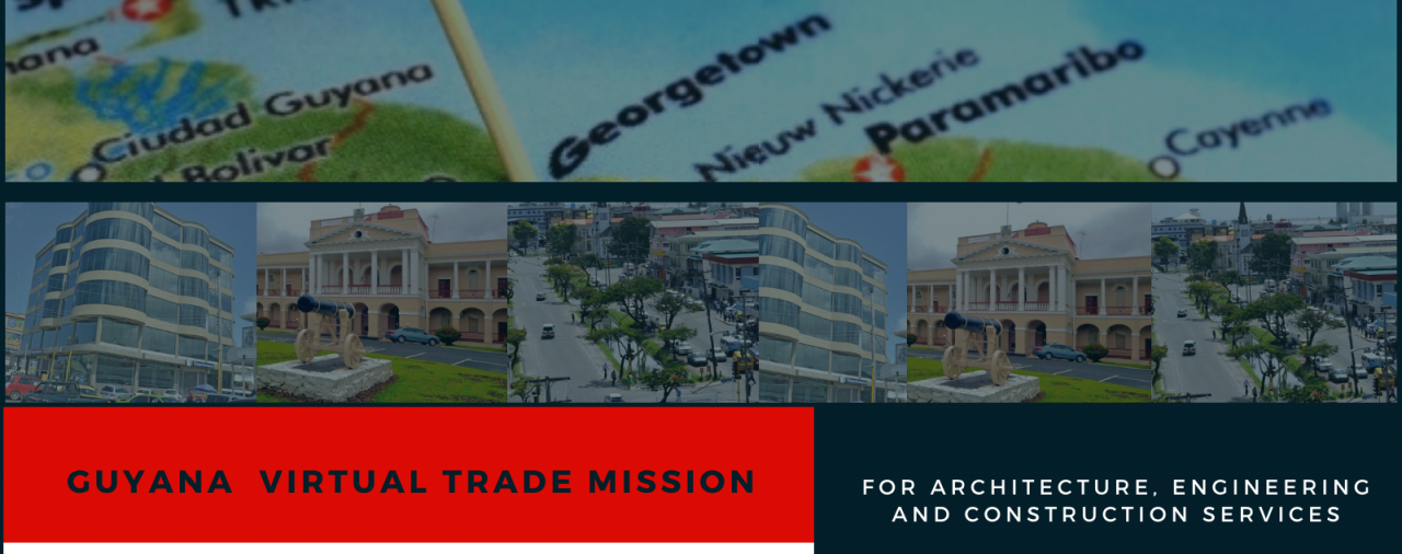 Services Virtual Trade Mission to Guyana Nov 24-25